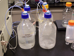 image of solvent reservoirs