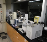 lab