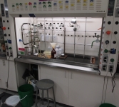 lab
