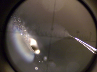 NanoESI spray 