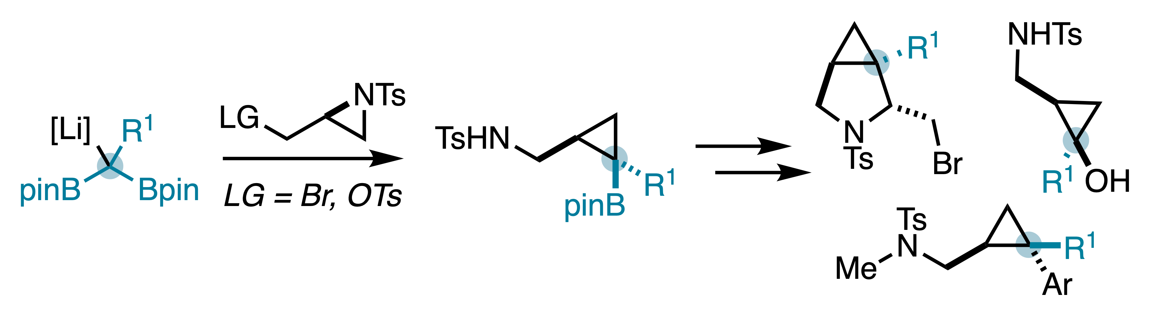 TOC graphic showing the synthesis of cyclopropylmethylamines from aziridines and 1,1-diborylalkanes.