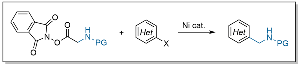 A TOC graphic displaying the reductive arylation of glycine-derived NHP esters.